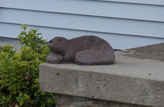 Beaver Wildlife Statue